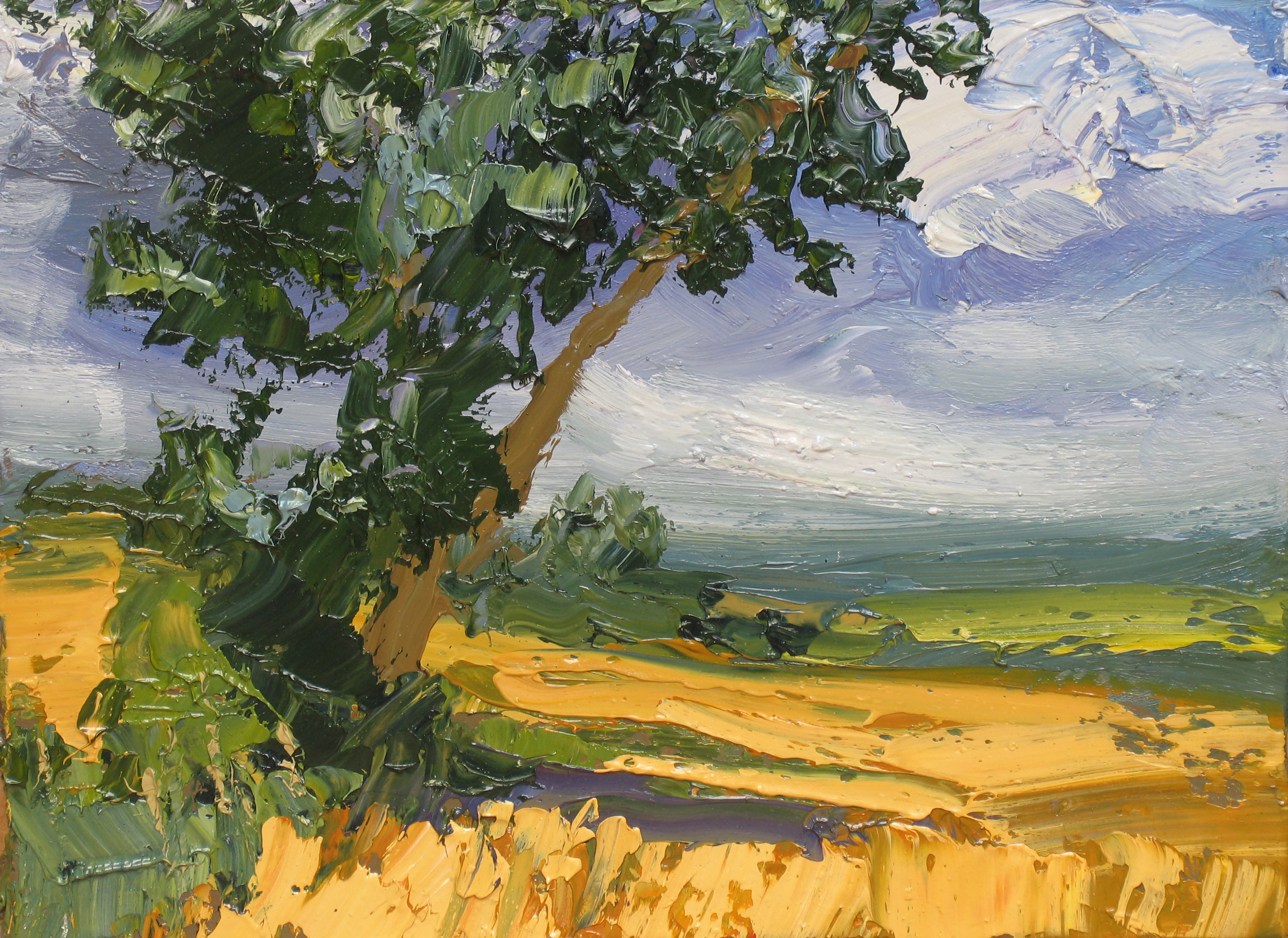 Summer Cornfield Colin Halliday Oil on Canvas 32 x 42cm