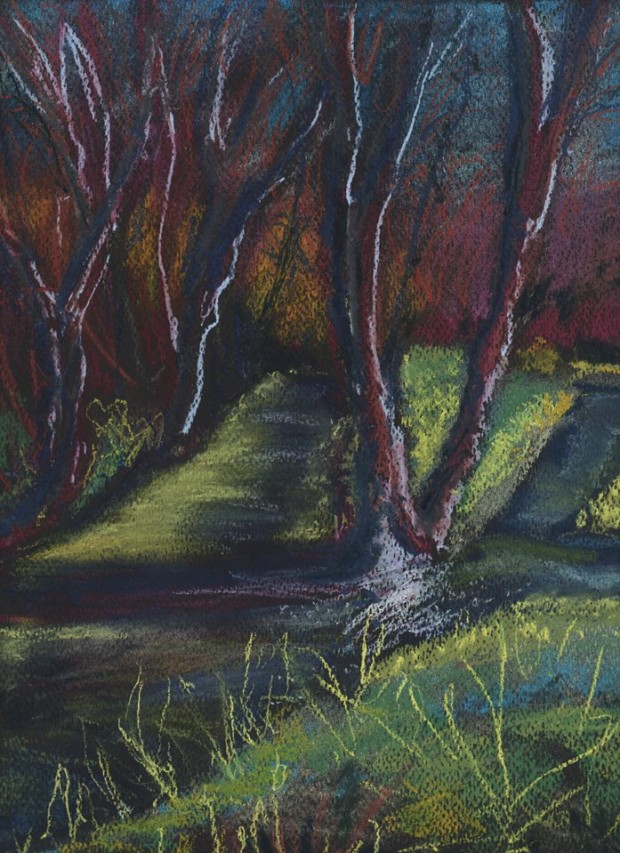 Jackson's Handmade Pastels Reviewed Jackson's Art Blog