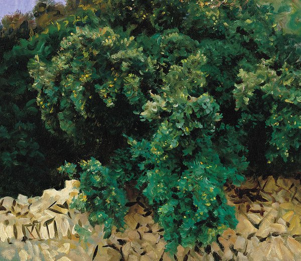 Detail of “Ilex Wood. Majorca,” 1908, oil on canvas  By John Singer Sargent 