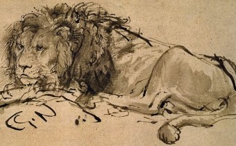 Rembrandt Lion Lying Down