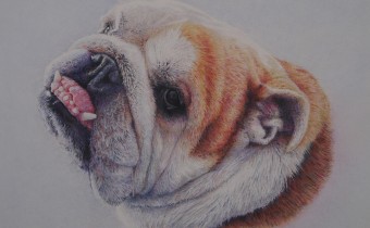 Peter Nelson: 'Chester', coloured pencil on paper