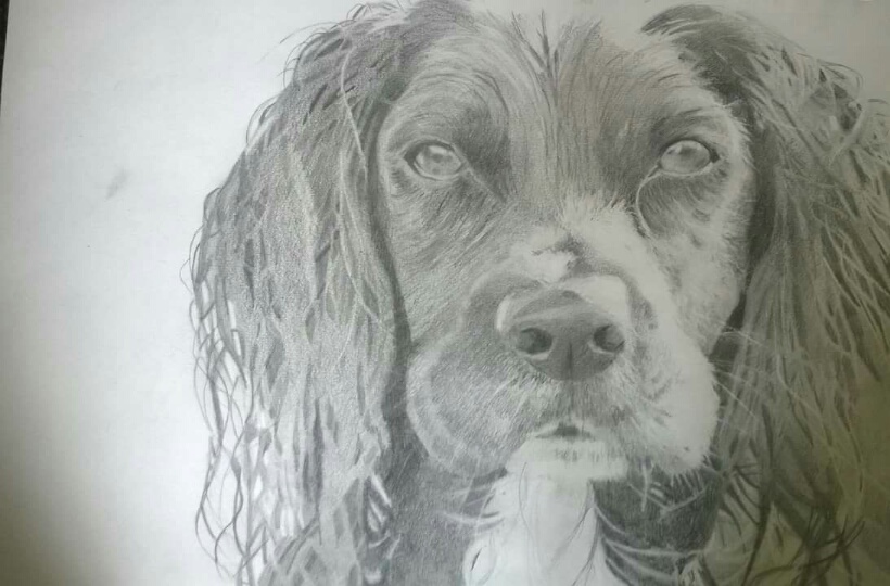 Drawing with clutch pencil by Charlotte Bradley