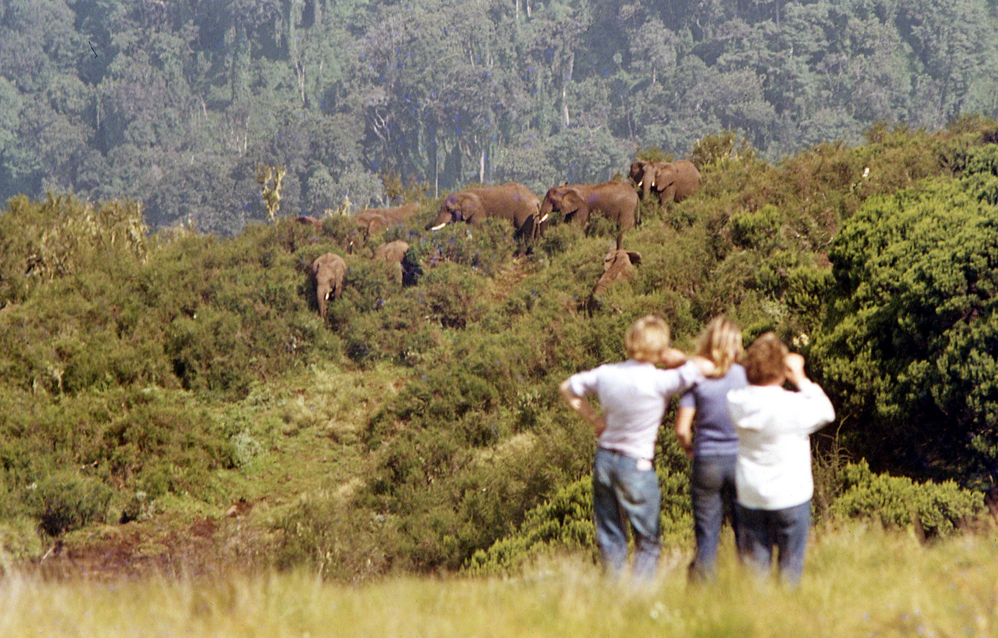 A photo of Anne's mother (on the right) and Anne (centre) in the wonderful Aberdare National Park in Kenya
