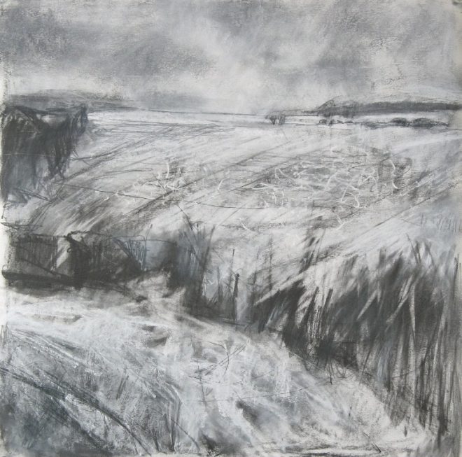 Janine Baldwin: 'After the Rain', graphite, charcoal and pastel on paper, 42 x 42cm