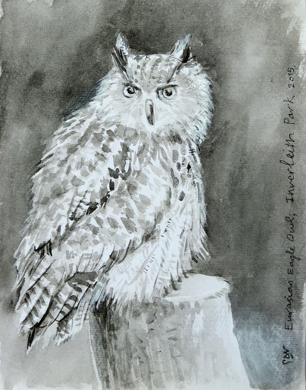 Eurasian Eagle Owl. Watercolour Castle Rock. Watercolour by Sav Scatola