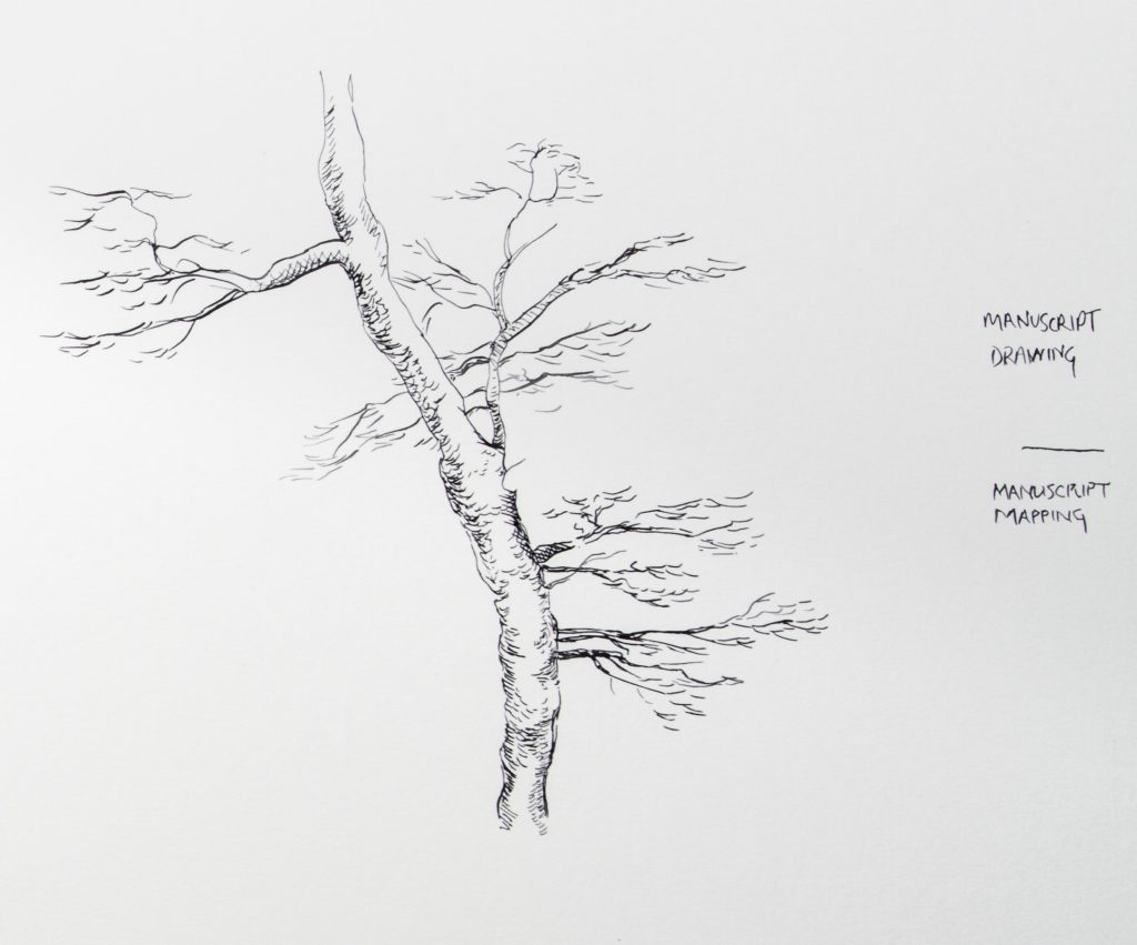 A Guide to Dip Pens and Drawing Inks