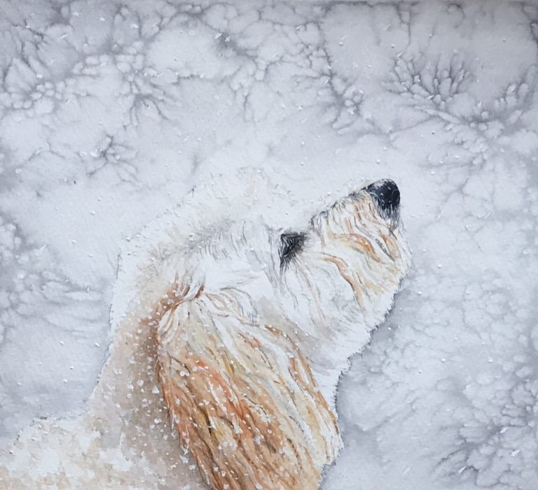 'Paint Yourself a Winner' Jean Haines Watercolour Competition Winner