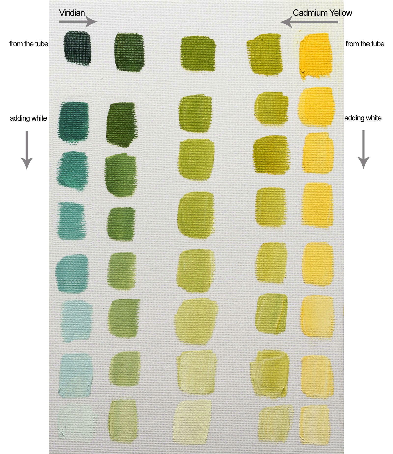 Williamsburg Oil Color Chart