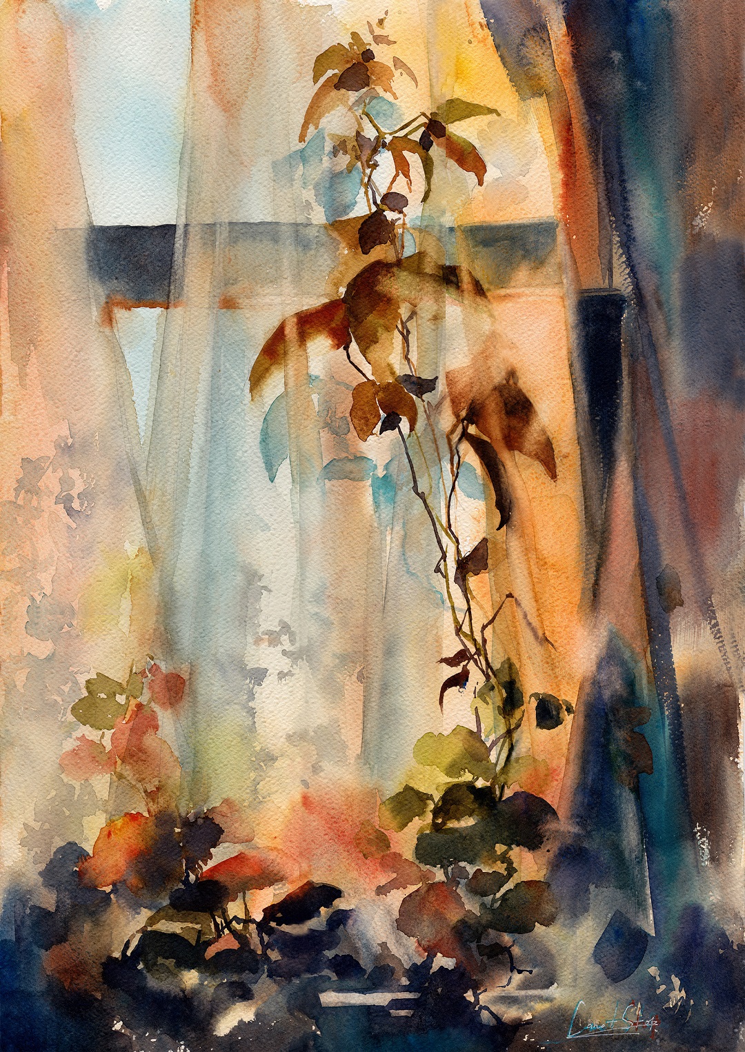 'Morning Through Curtains' Sophie Rodionov Watercolour on Fabriano Rough 140lb, 12 x 18"