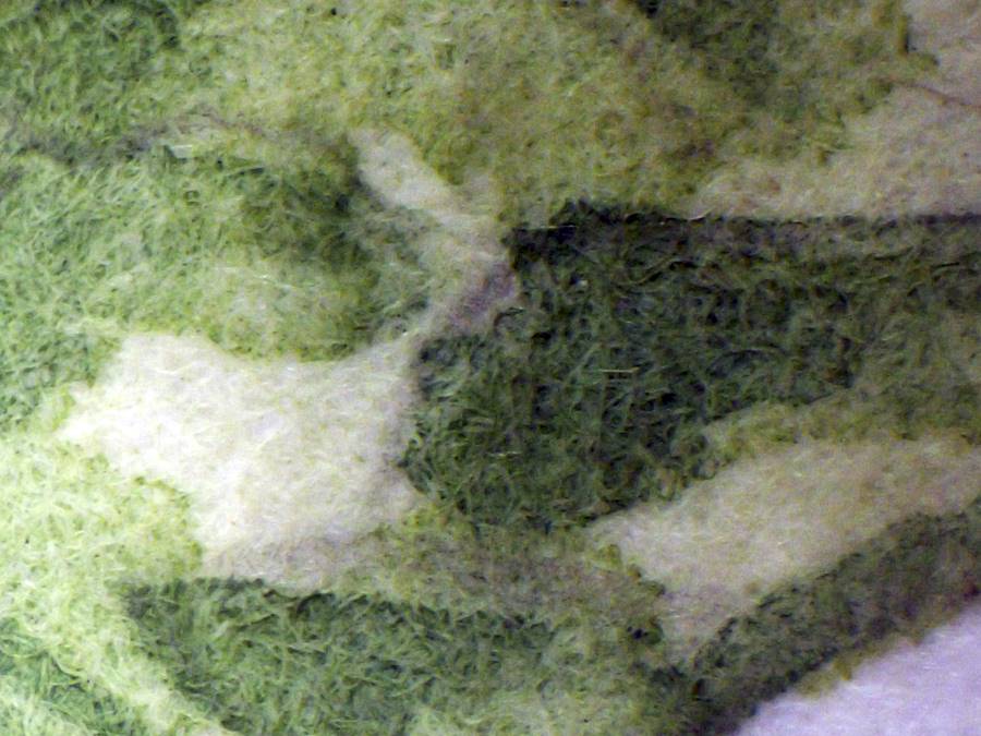Up close under the microscope: Stonehenge Aqua