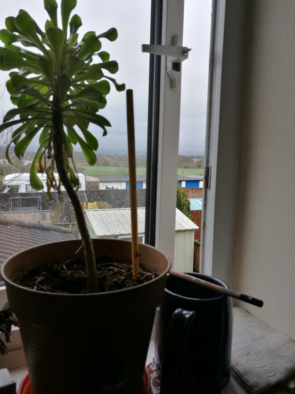 5 Steps to Safer Oil Painting Jackson's Art Blog