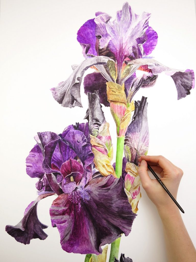 Anna Mason's Watercolour World Interview Jackson's Art Blog