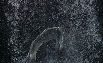 Bill Viola, Tristan’s Ascension (The Sound of a Mountain Under a Waterfall), 2005. Video/sound installation. Performer: John Hay. Courtesy Bill Viola Studio. Photo: Kira Perov.