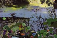 Iain Nicholls Elsecar Canal, Oil on canvas [JOPP 2019 Winner]