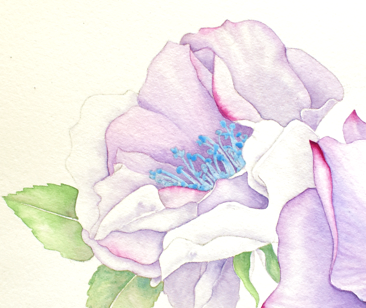 Review of Schmincke Masking fluid Jackson's Art Blog