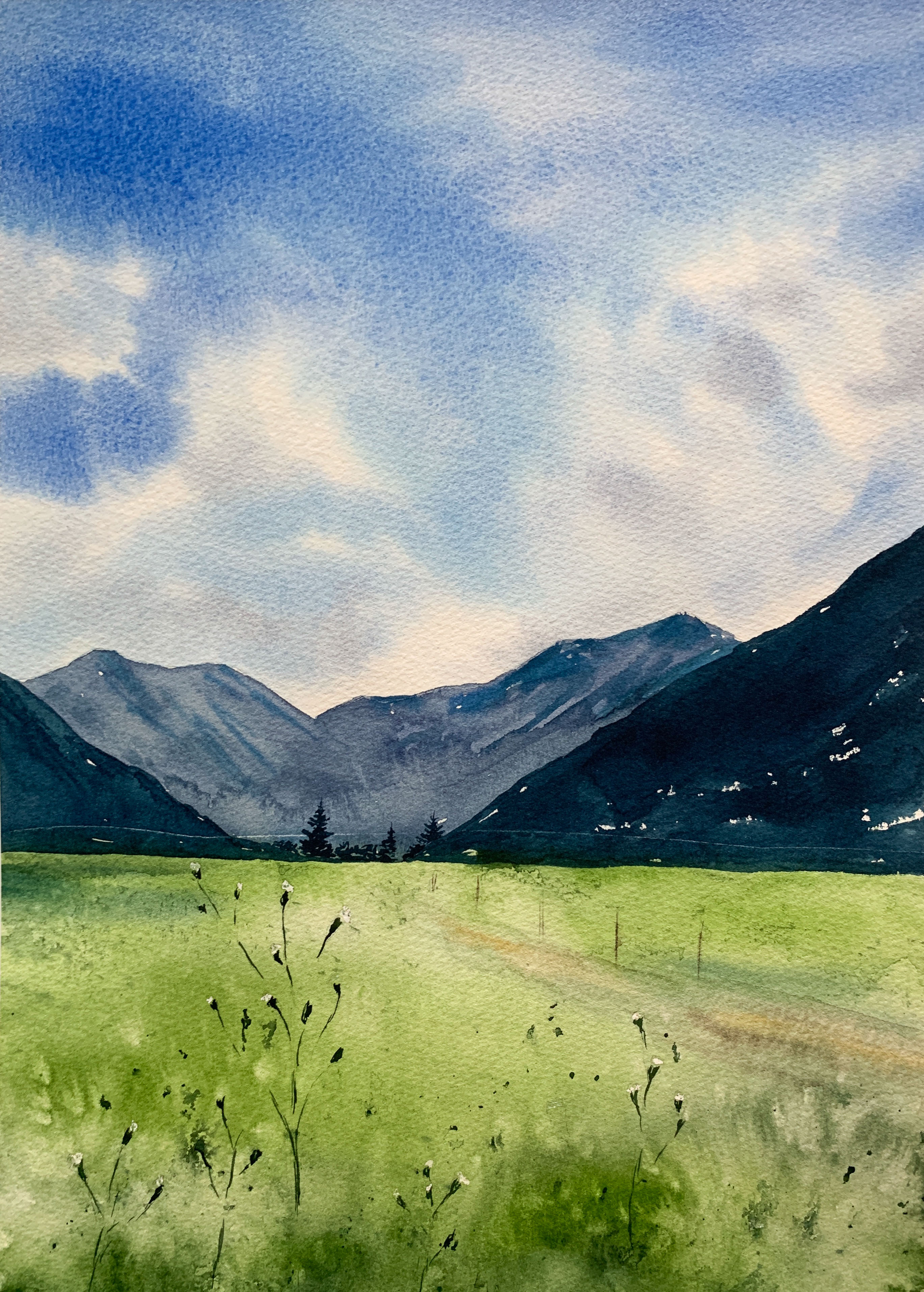 What is Watercolour Granulation? Jackson's Art Blog