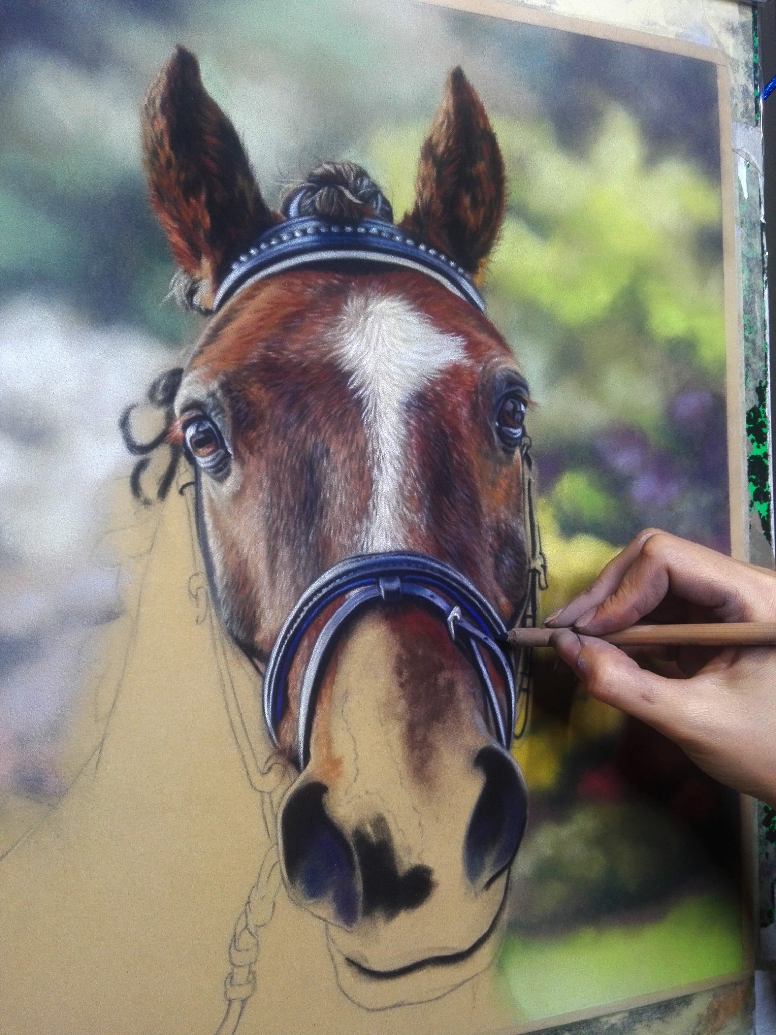WIP Horse Commission: Emma Colbert. Jackson’s Painting Prize.