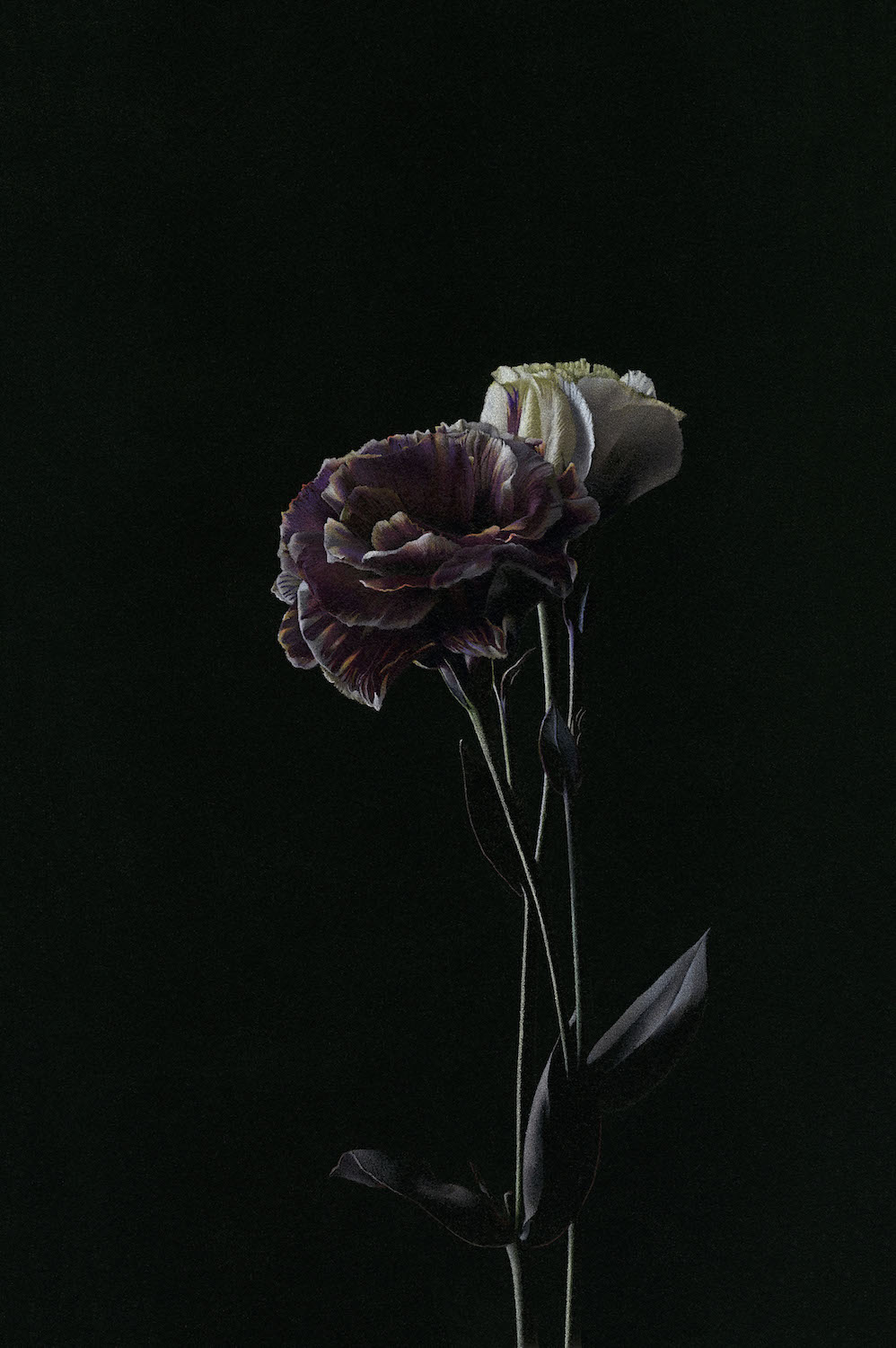 Imagine. Megan Seiter. Jackson’s Painting Prize.