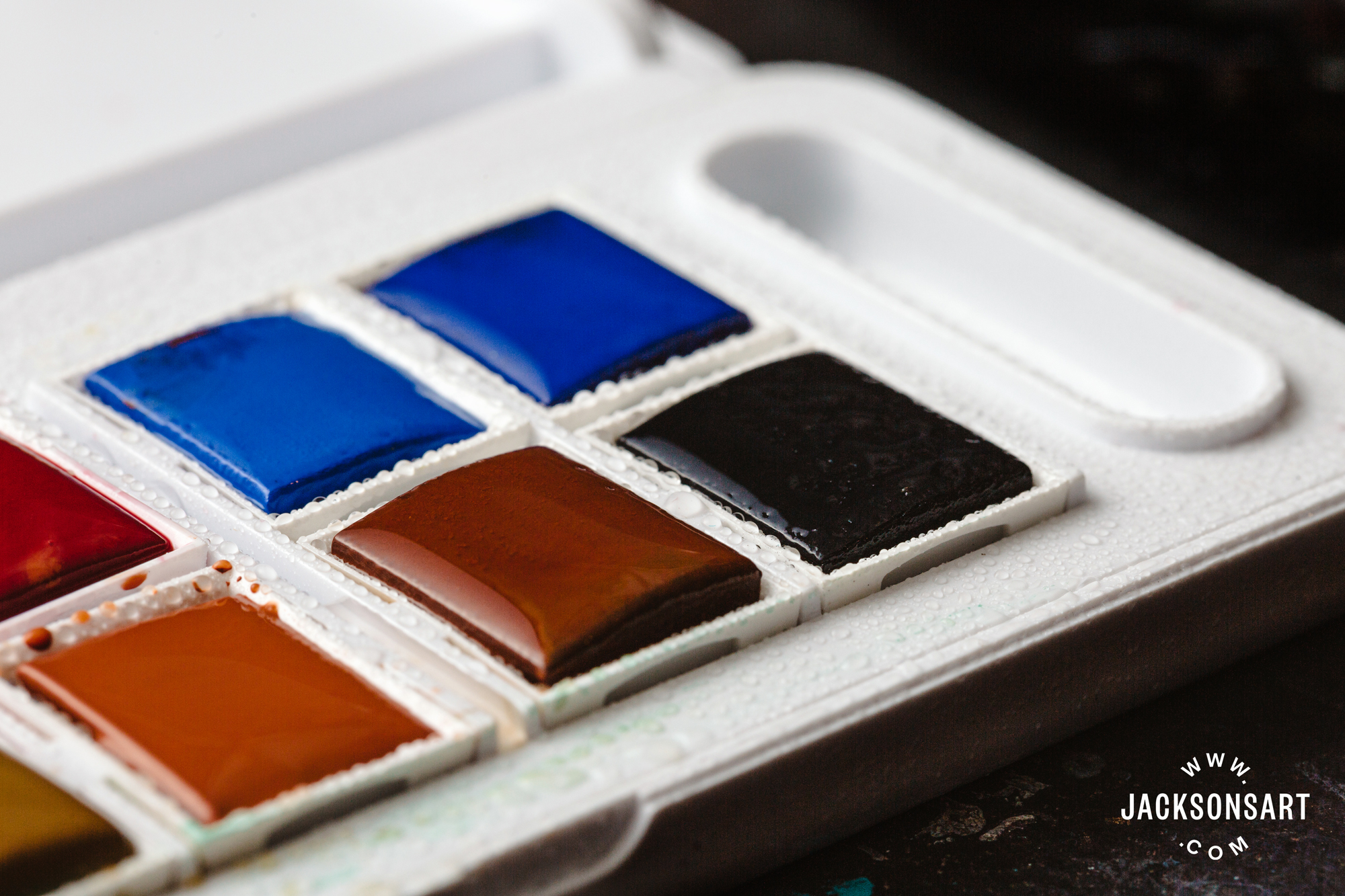 watercolour pans