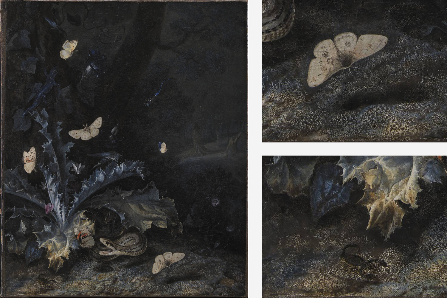 Still Life with Thistle and Snake, Otto Marseus van Schrieck 