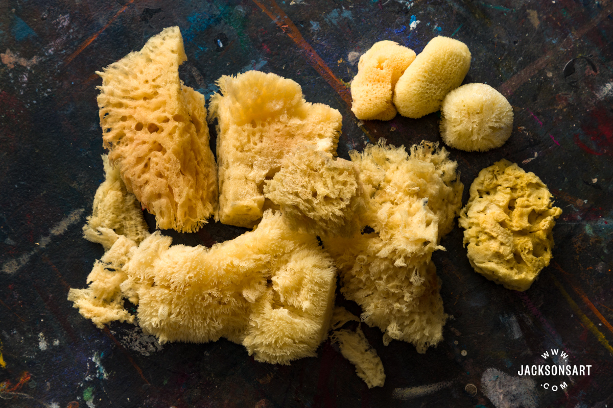 Jackson's assorted sponges