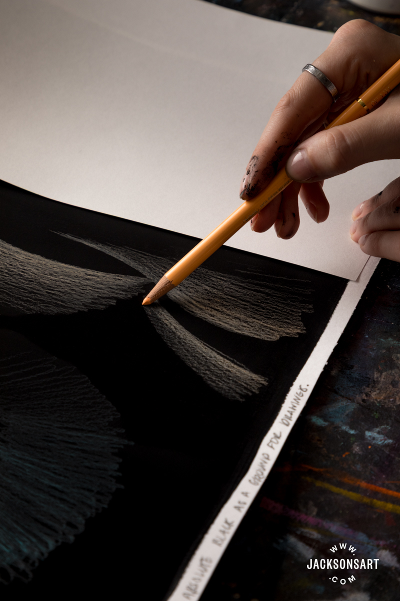 Coloured Pencils on Absolute Black