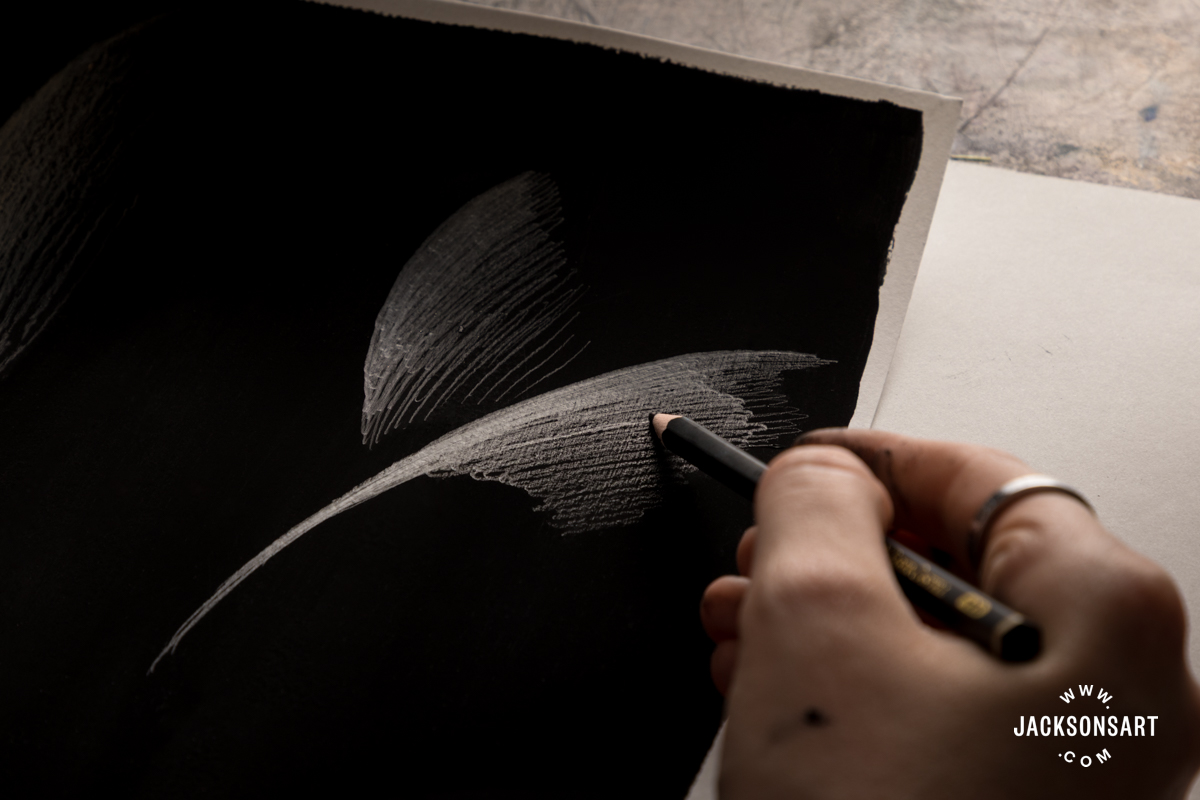 Graphite on Absolute Black