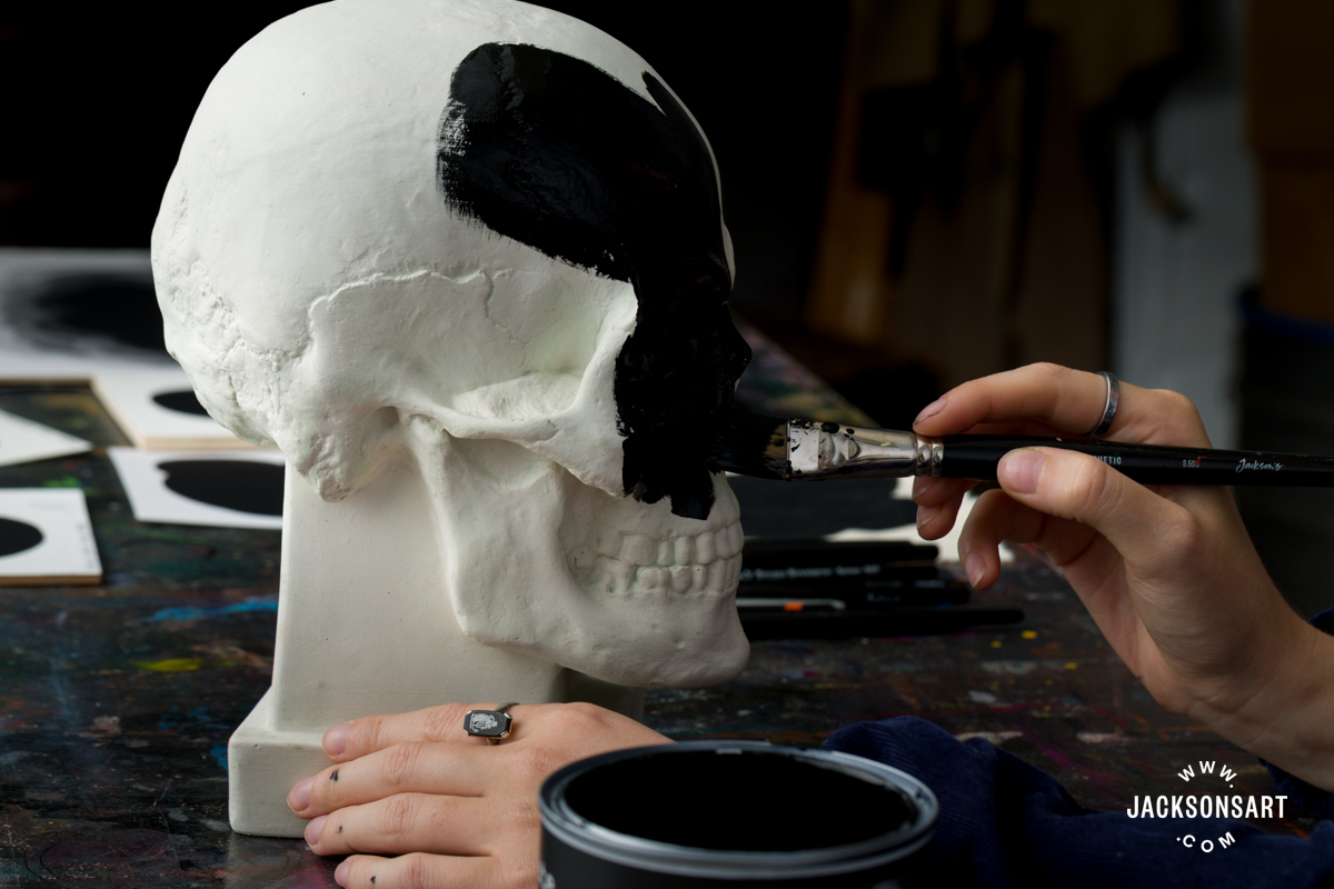 Absolute Black on Plaster Skull