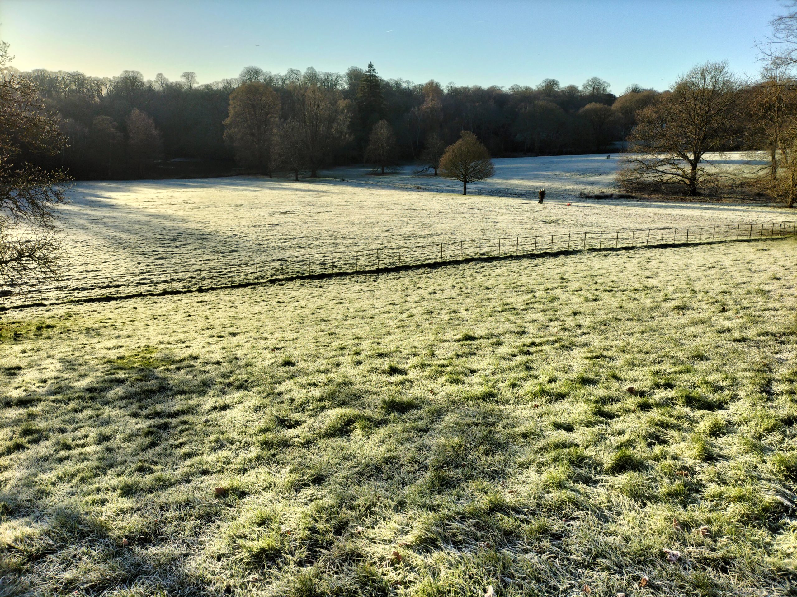 Jackson's Plein Air Days Hampstead Heath