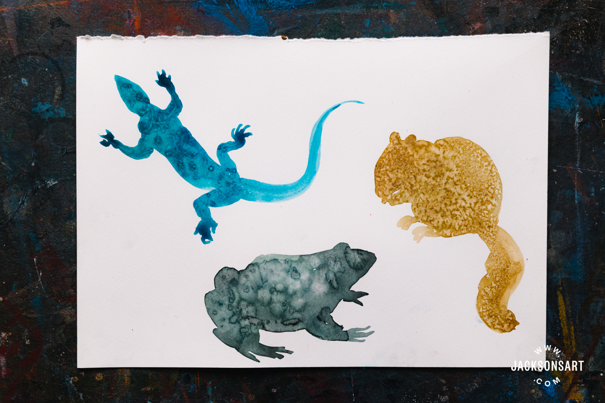 Applying salt to create texture on images of animals