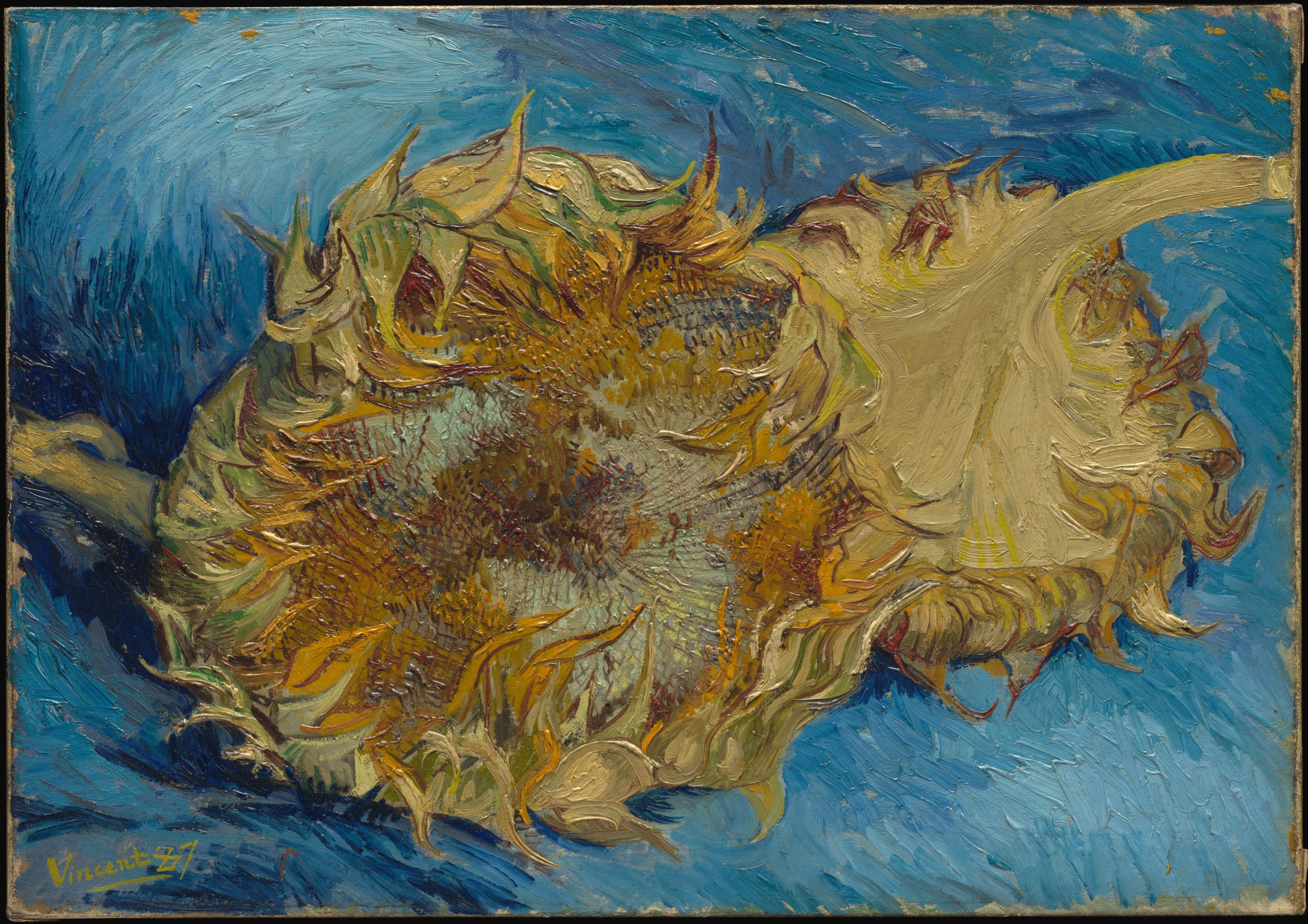 Sunflowers, 1887, Vincent van Gogh