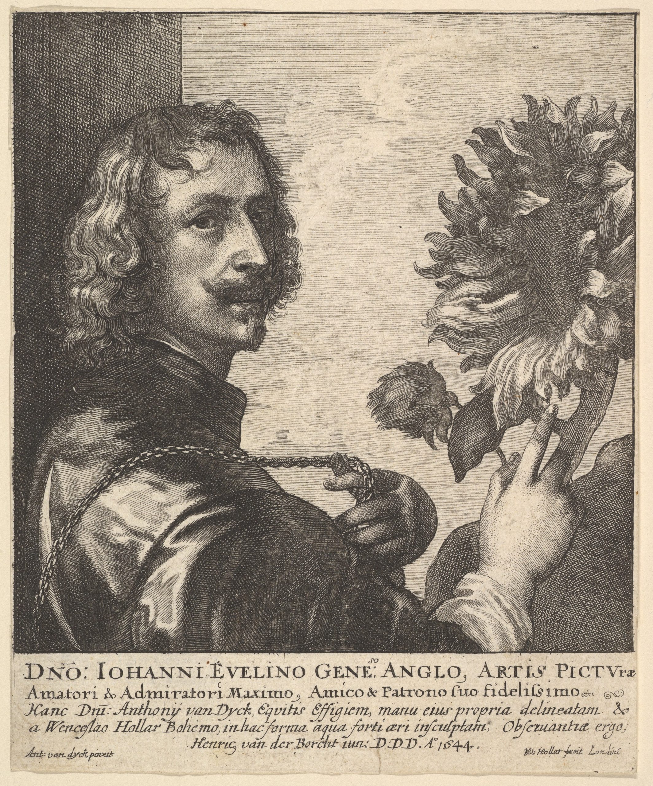 Sir Anthony Van Dyck with a Sunflower, 1644, Wenceslaus Hollar after Anthony van Dyck