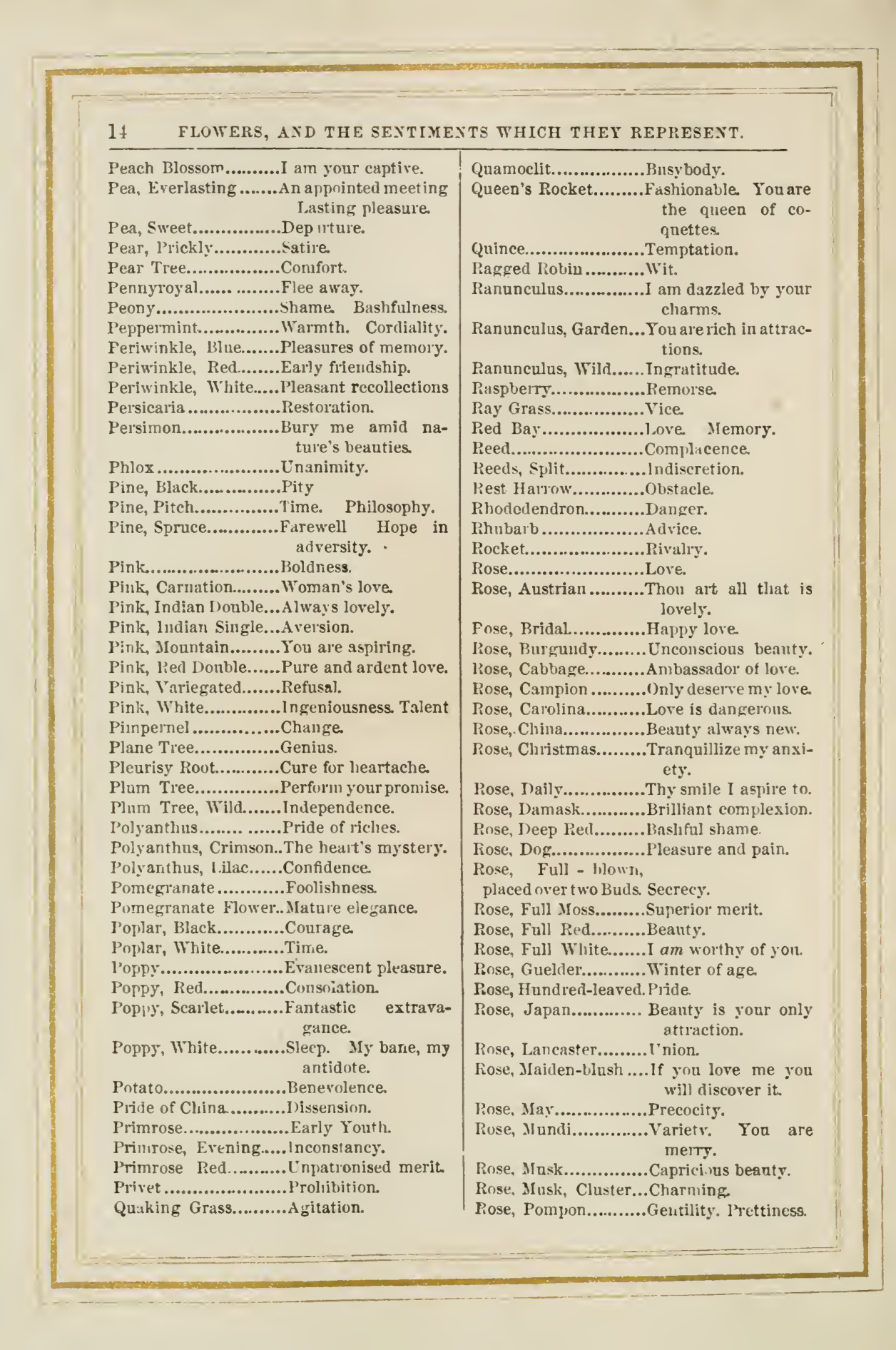 Page 14 from The Language of Flowers : an alphabet of floral emblems, 1857