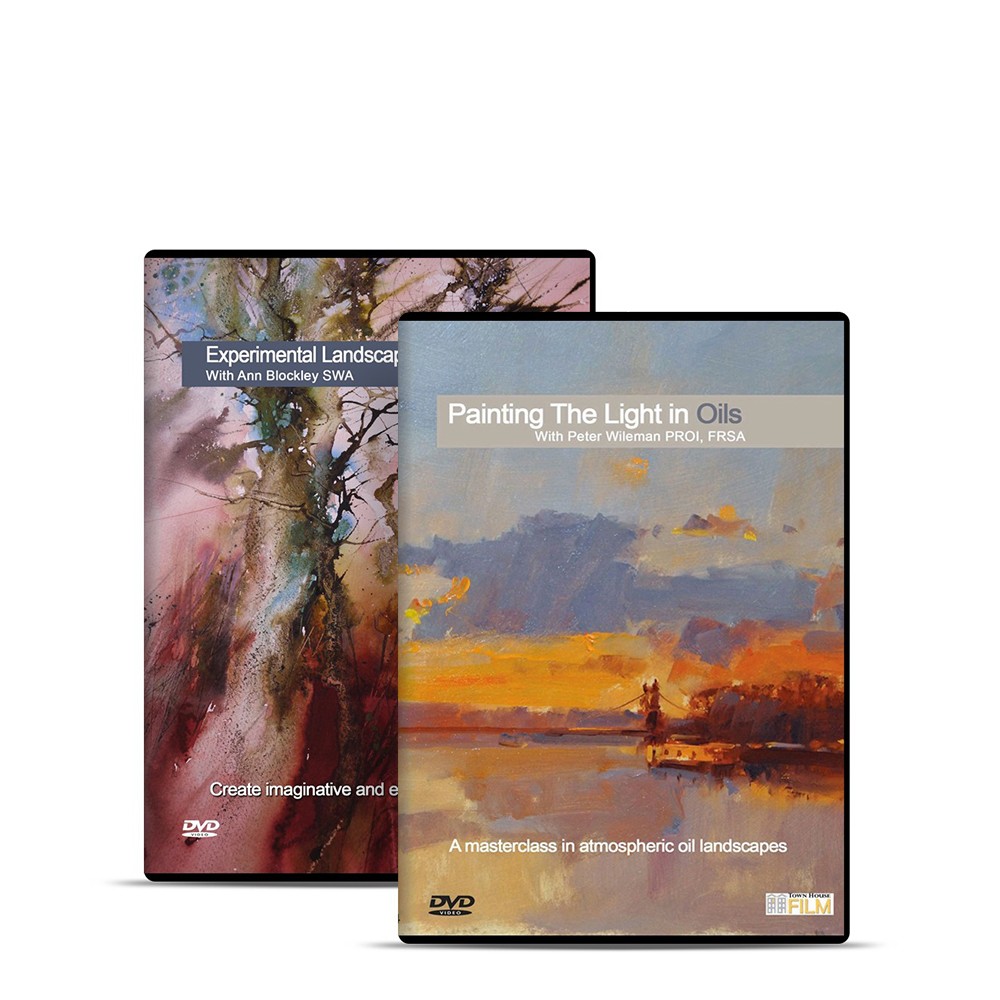 Townhouse : DVD : Experimental Landscapes In Watercolour With Ann Blockley SWA