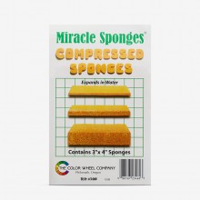 Color Wheel Company : Miracle Sponge : 3x4in (Apx.8x10cm)
