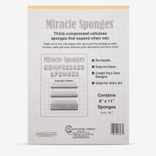 Color Wheel Company : Miracle Sponge : 8x11in (Apx.20x28cm)
