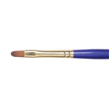 Daler Rowney : Sapphire Brush : Series 67 : Filbert : Size 6