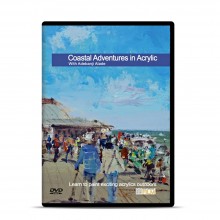 Townhouse : DVD : Coastal Adventures in Acrylic : Adebanji Alade Prov ROI