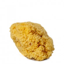 Handover  :  Natural  Sea  Sponge  :  Medium  Approx.  5.5in