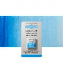 Winsor & Newton : Professional Watercolor : Half Pan : Manganese Blue Hue