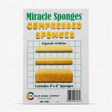Color Wheel Company : Miracle Sponge : 4x6in
