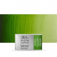 Winsor & Newton Künstler Aquarell: Volle Wanne Permanent Sap Green