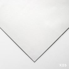 Lenox 100 :Papier Art de Qualité : 250gsm : 56x76cm : Blanc : 25 Feuilles