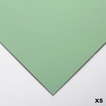 Clairefontaine : Pastelmat : Papier Pastel : Lot de 5 Feuilles : 24x32cm : Light Green