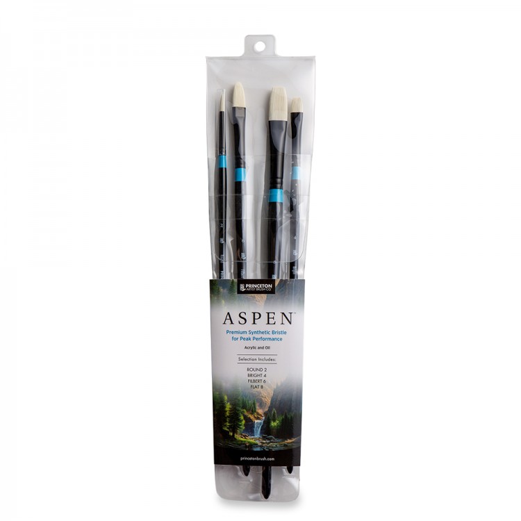 Princeton : Aspen : Synthetic Bristle Brush : Series 6500 : Long Handle : Professional Set of 4