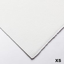 Saunders Waterford 22x30in blanco alto (56x76cm) no 140lb: x 5