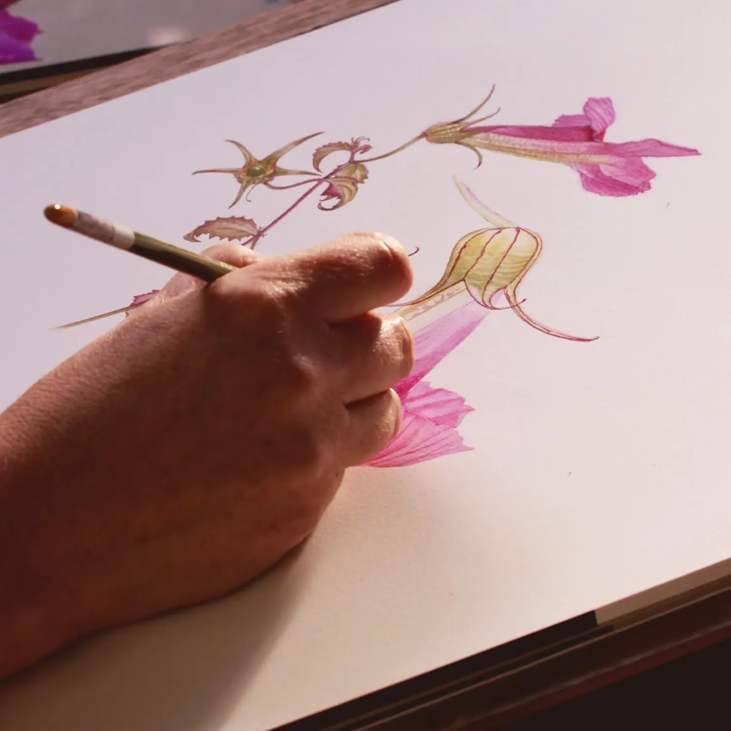 Botanical Painting