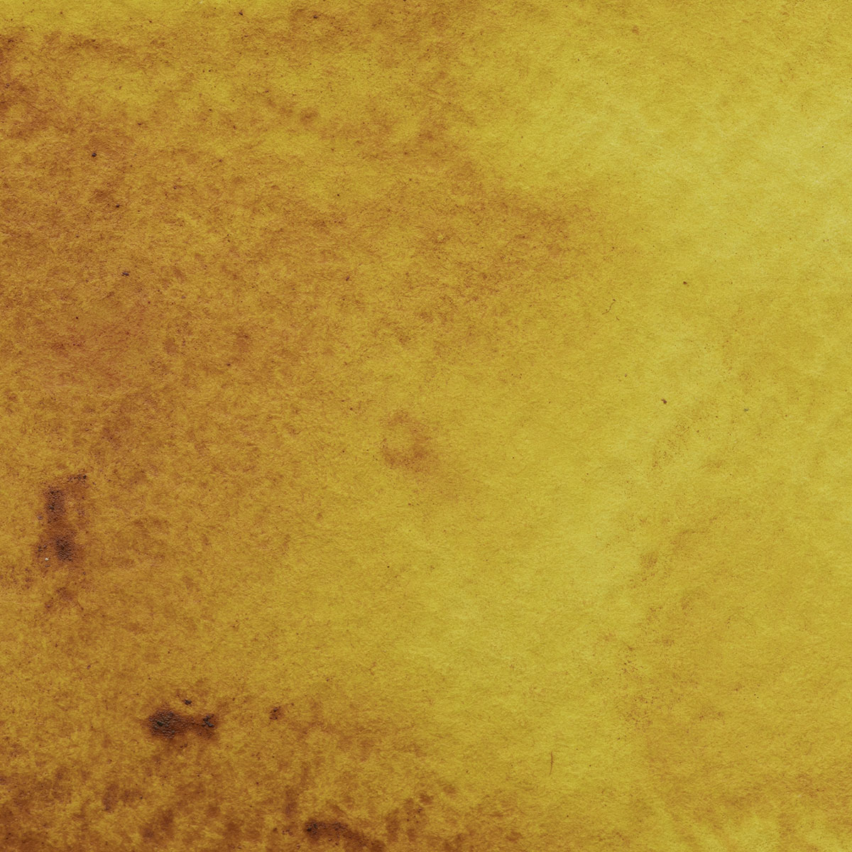 Quinacridone Gold | Jackson's Art
