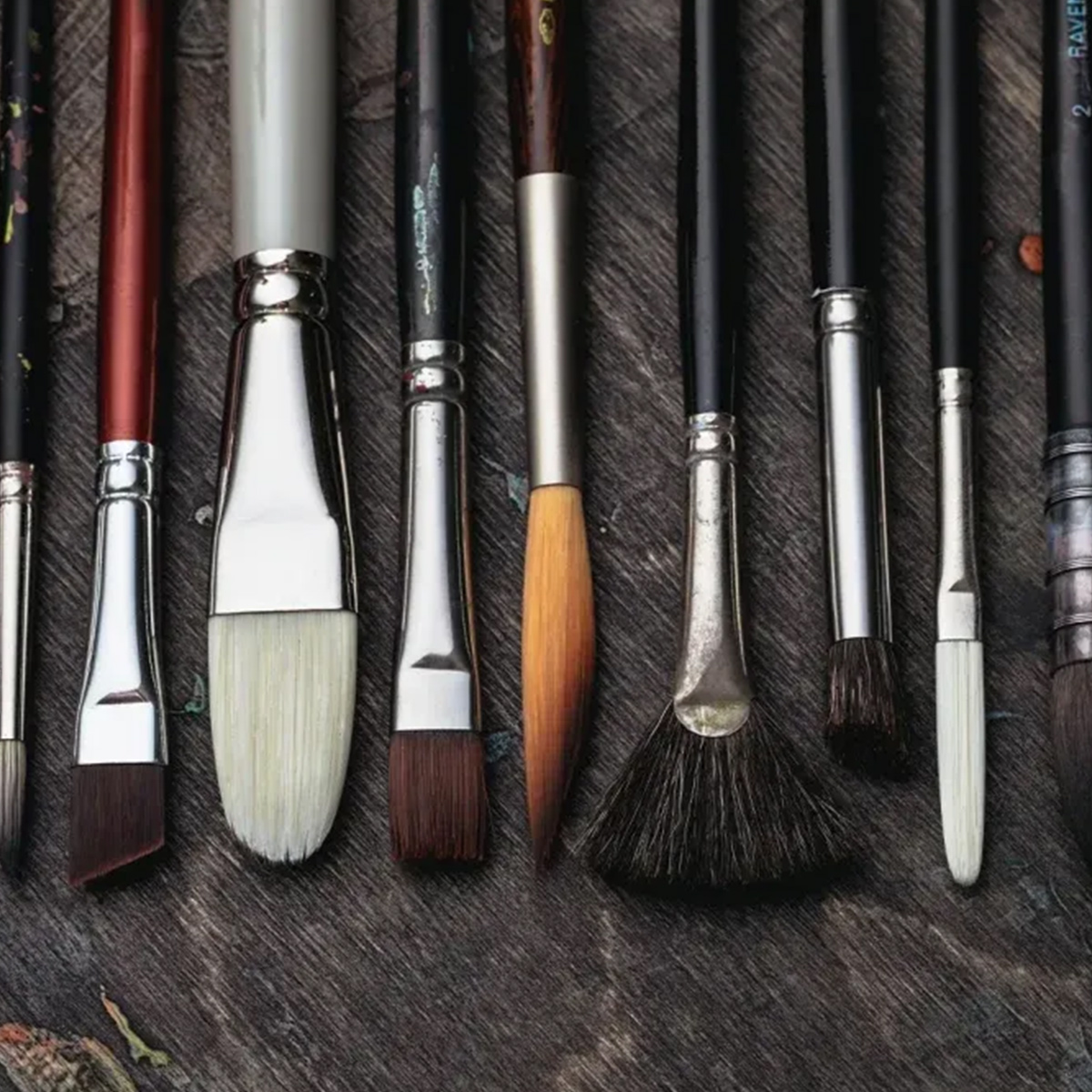 Brushes with different Shapes, Names, Hair, and Applications