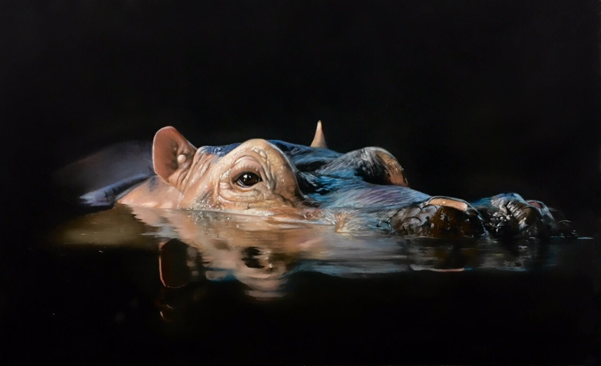 'Night-time Encounter', Clare Parkes, The Alpha, 25 x 40 cm